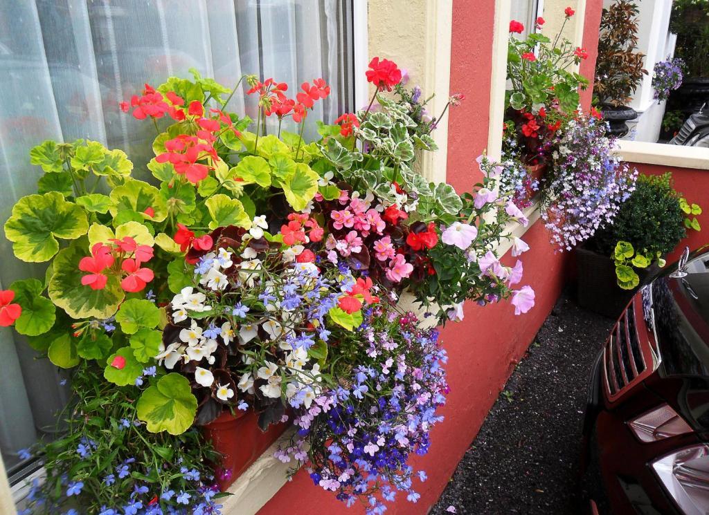 Achill House Hotell Cork Eksteriør bilde